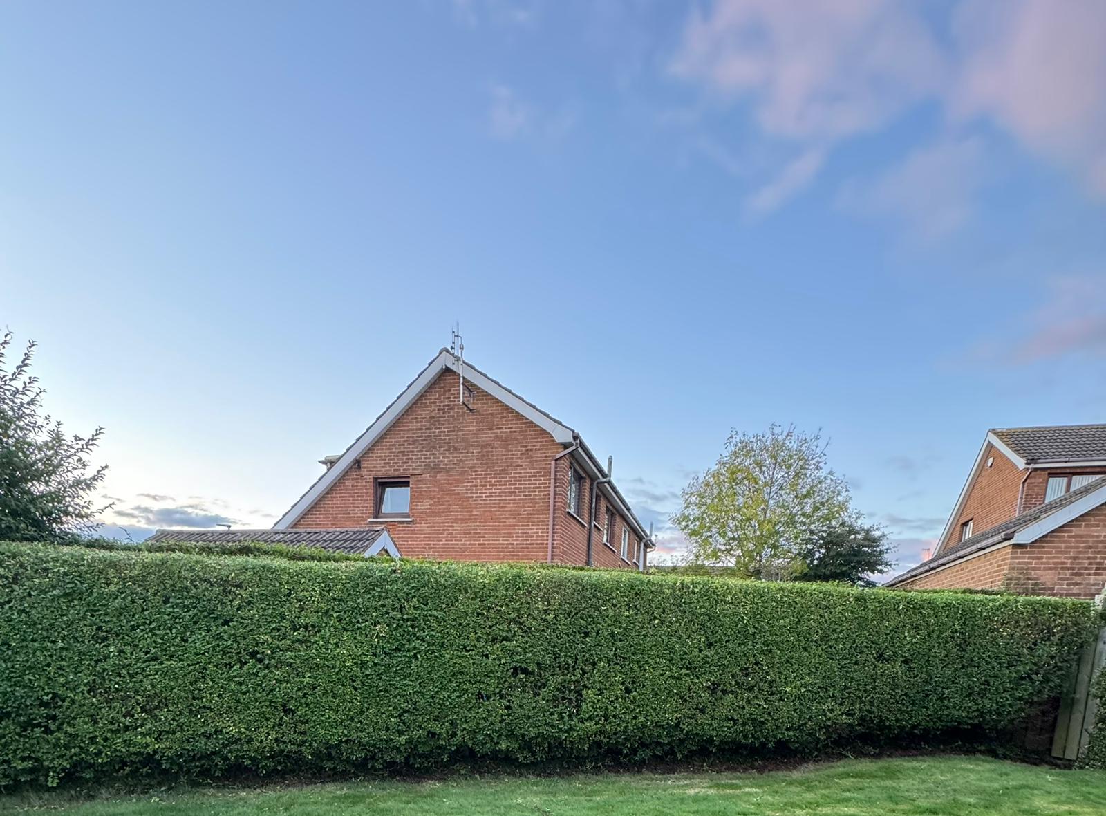 Trimmed hedges in Bangor