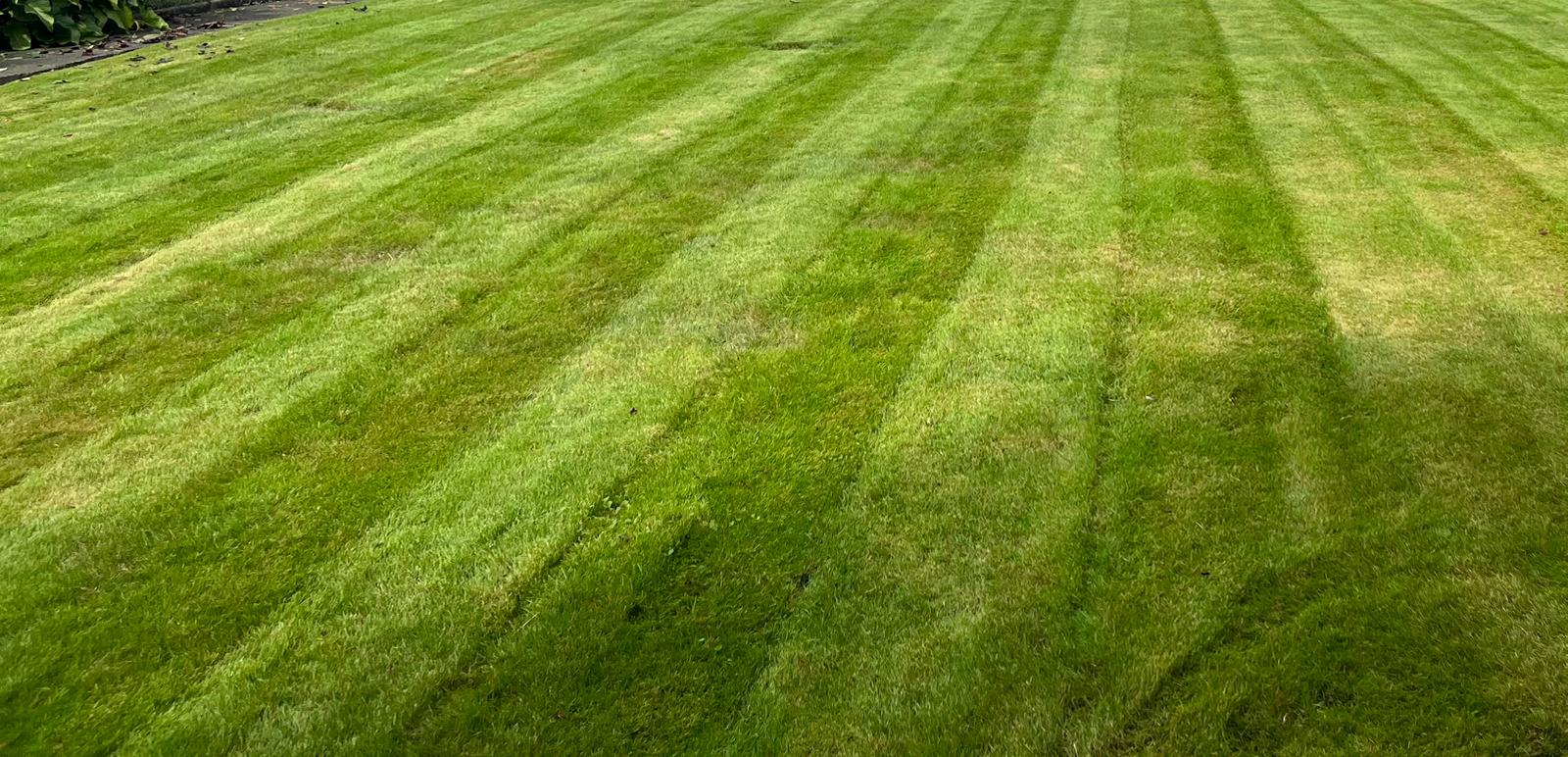Cutting grass in Bangor